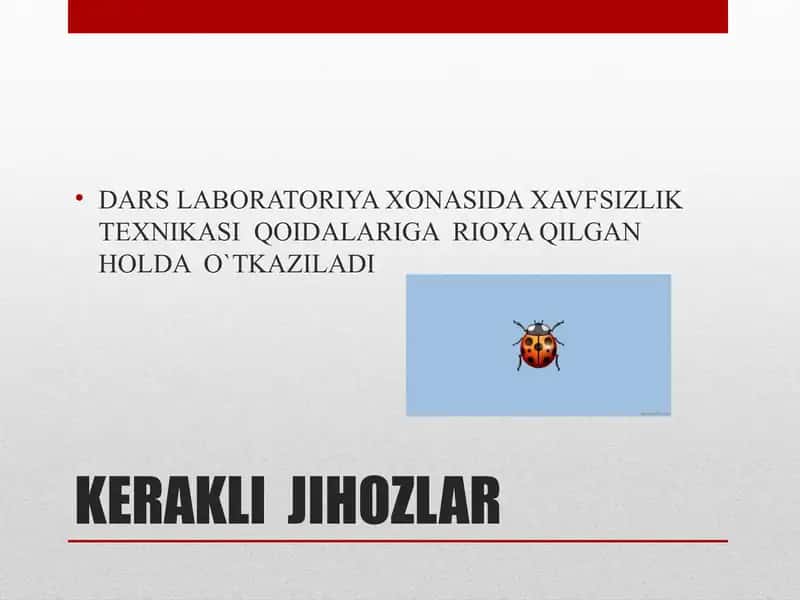 3-Labaratoriya mashg'uloti "Hashoratlarning tashqi tuzilishi" 2