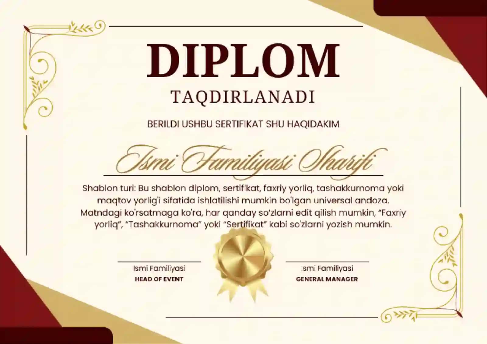 DIPLOM 2