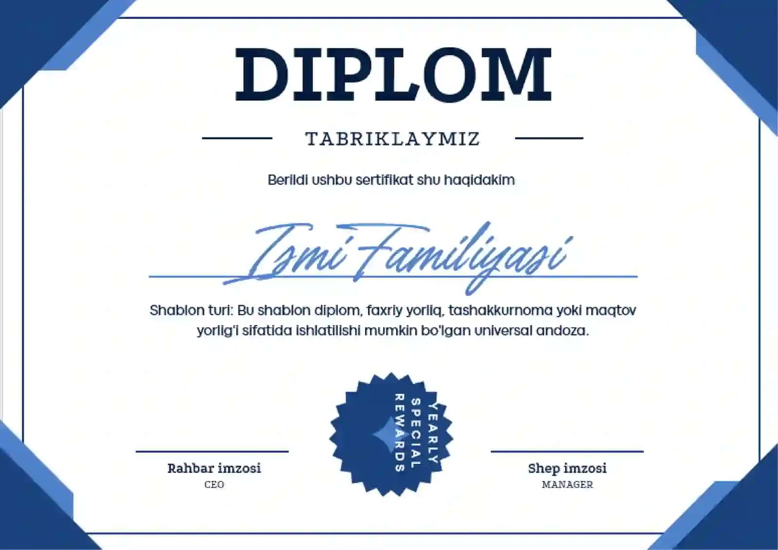 DIPLOM 2
