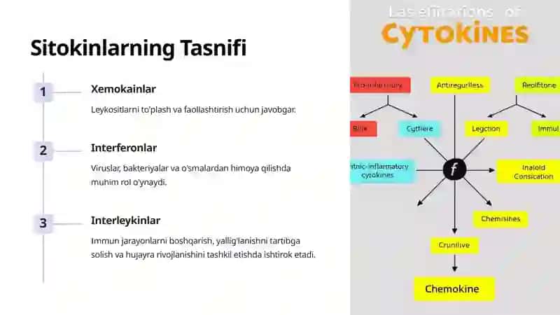 Sitokinlar, Interferon 2
