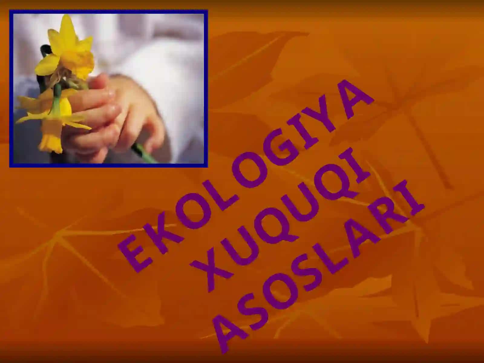 Ekologiya huquqi asoslari 2