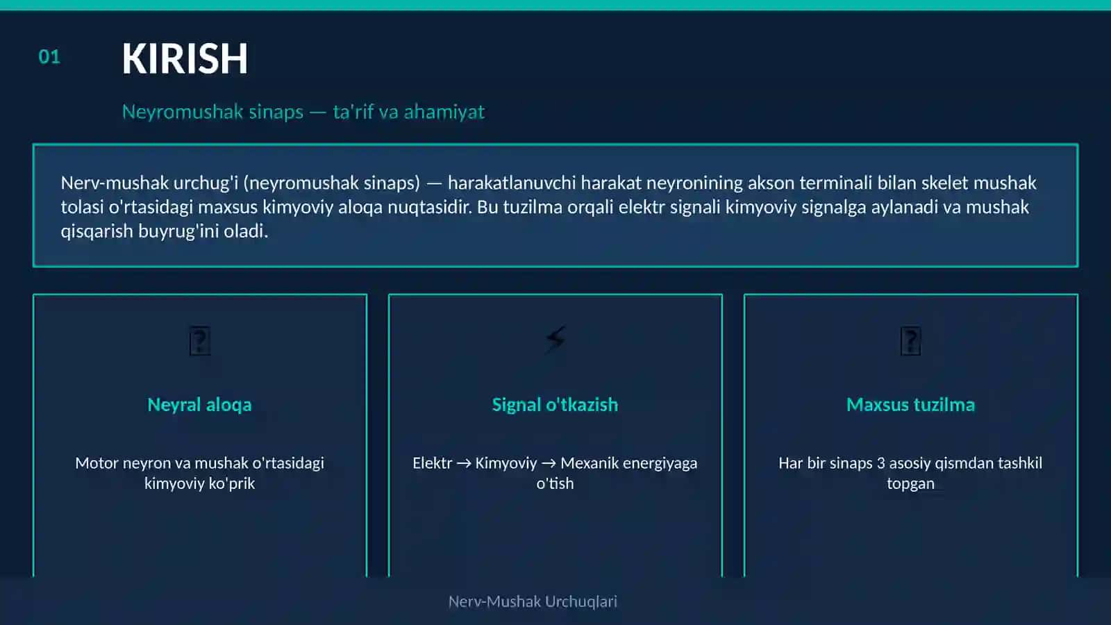 NERV-MUSHAK URCHUQLARI 2