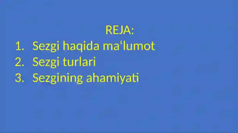 SEZGI 2