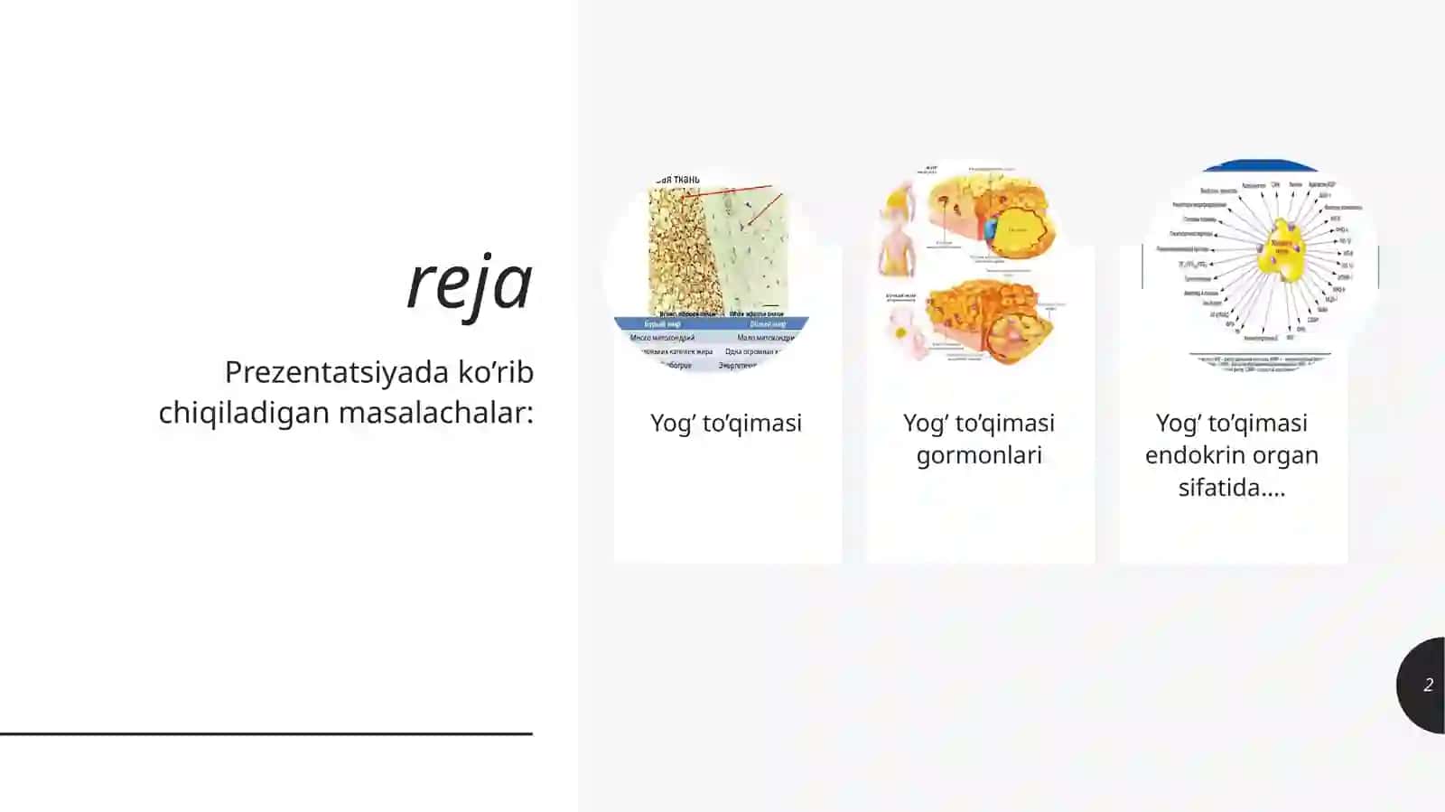 Prezentatsiya 2