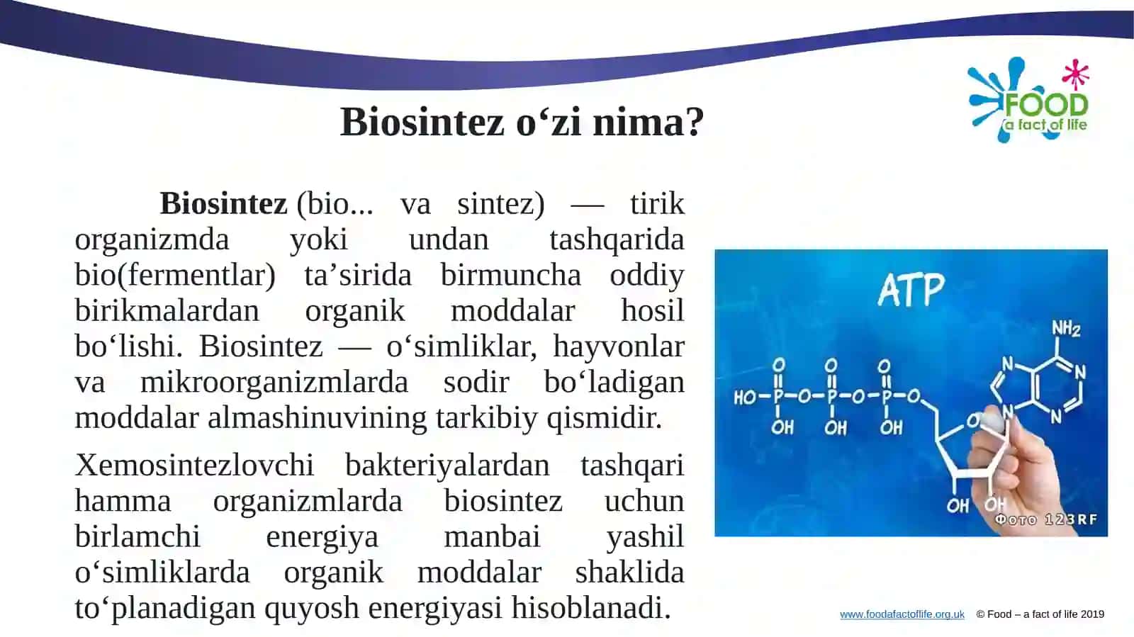Mikroorganizmlar biosintezi 2
