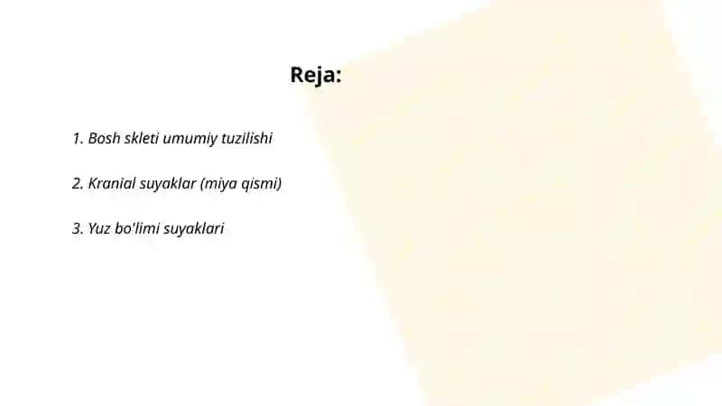 Bosh skleti. Yuz bo'limi suyaklari 2