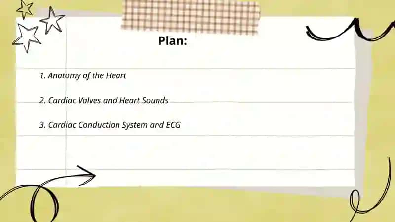 Circulatory system 2