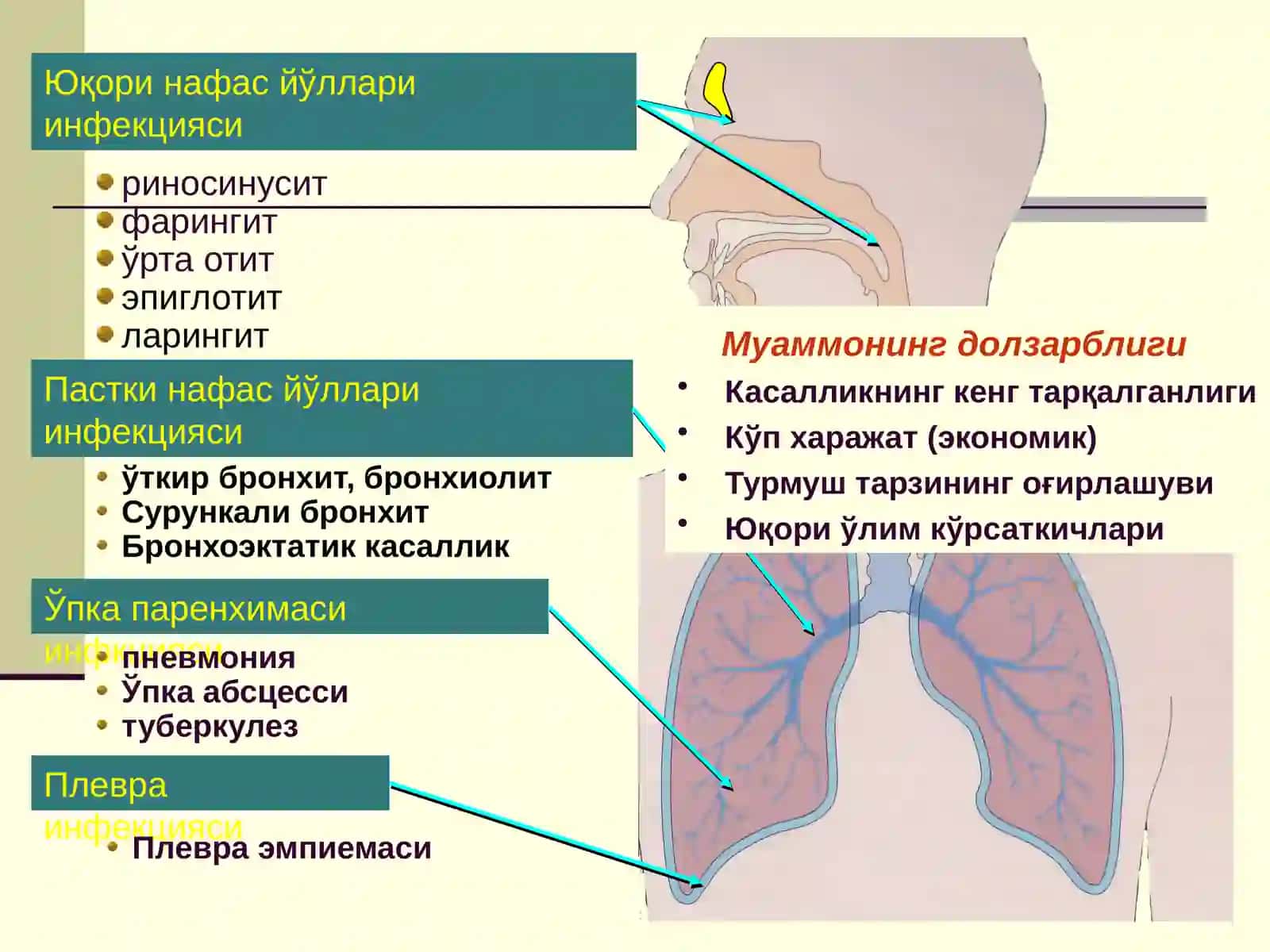 БОЛАЛАРДА ПНЕВМОНИЯ 2