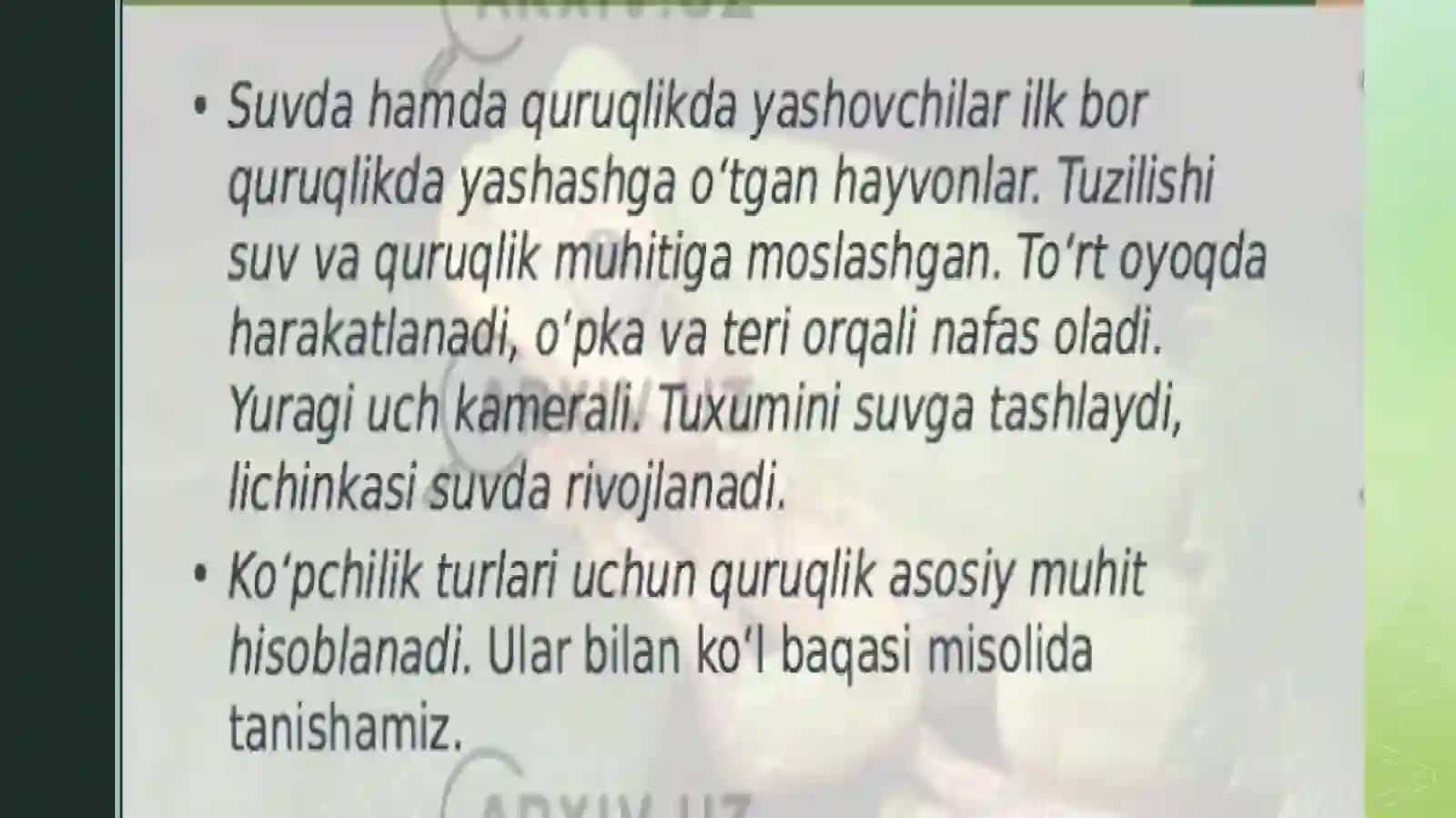 Koʻlbaqasining skeleti va ichki tuzilishi 2