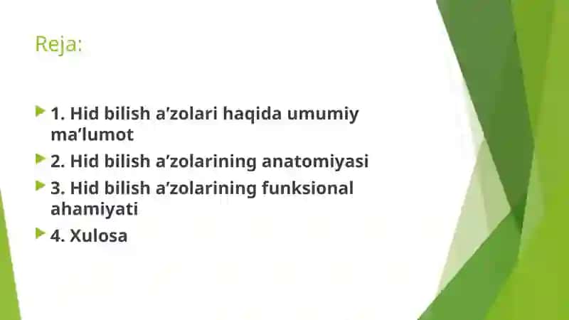Hid bilish a’zolarining funksional anatomiyasi 2