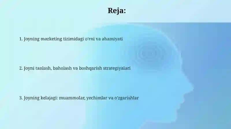 Marketing tizimida joy va uning ahamiyati 2