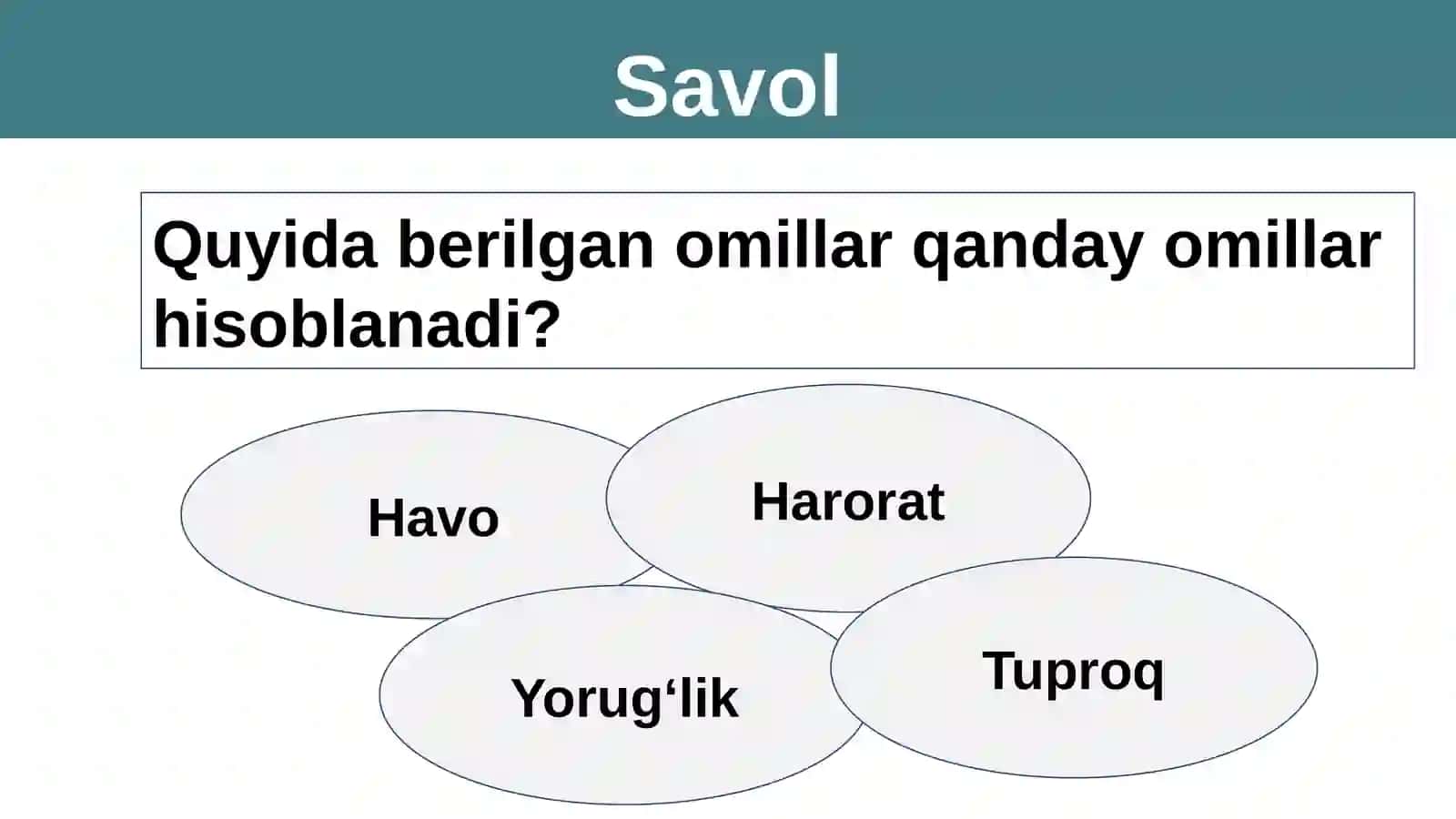 Quruqlik-havo yashash muhiti sifatida 2