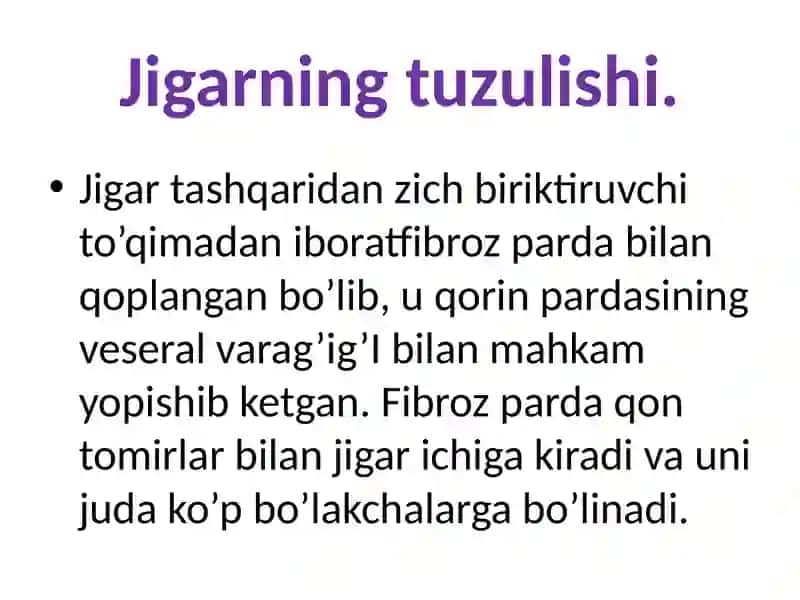 Jigar    gistalogiyasi 2