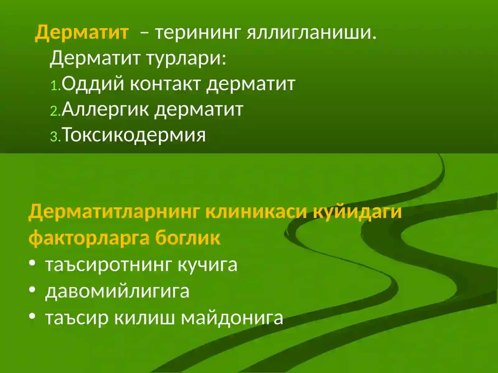 Дерматит терининг яллигланиши 2