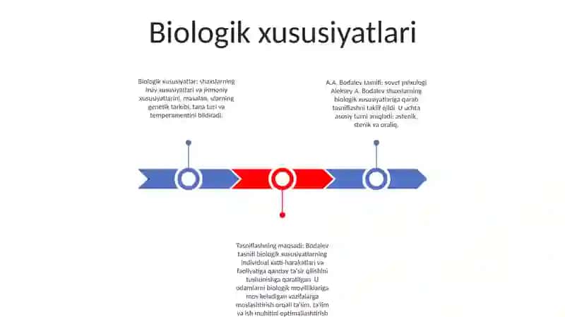 A.A.Bodalyev Bòyicha Individ, Shaxs Va Natijaviylik Klassifkatsiyasi 2