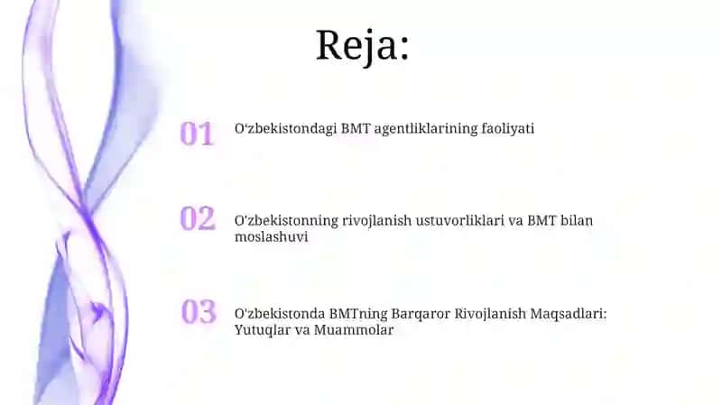 O'zbekiston va BMT Hamkorligi 2