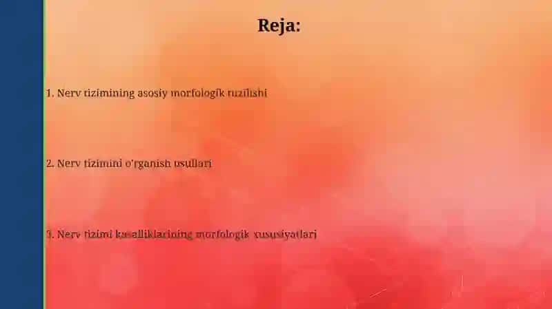 Nerv tizimining marfalogiyasini òrganish 2