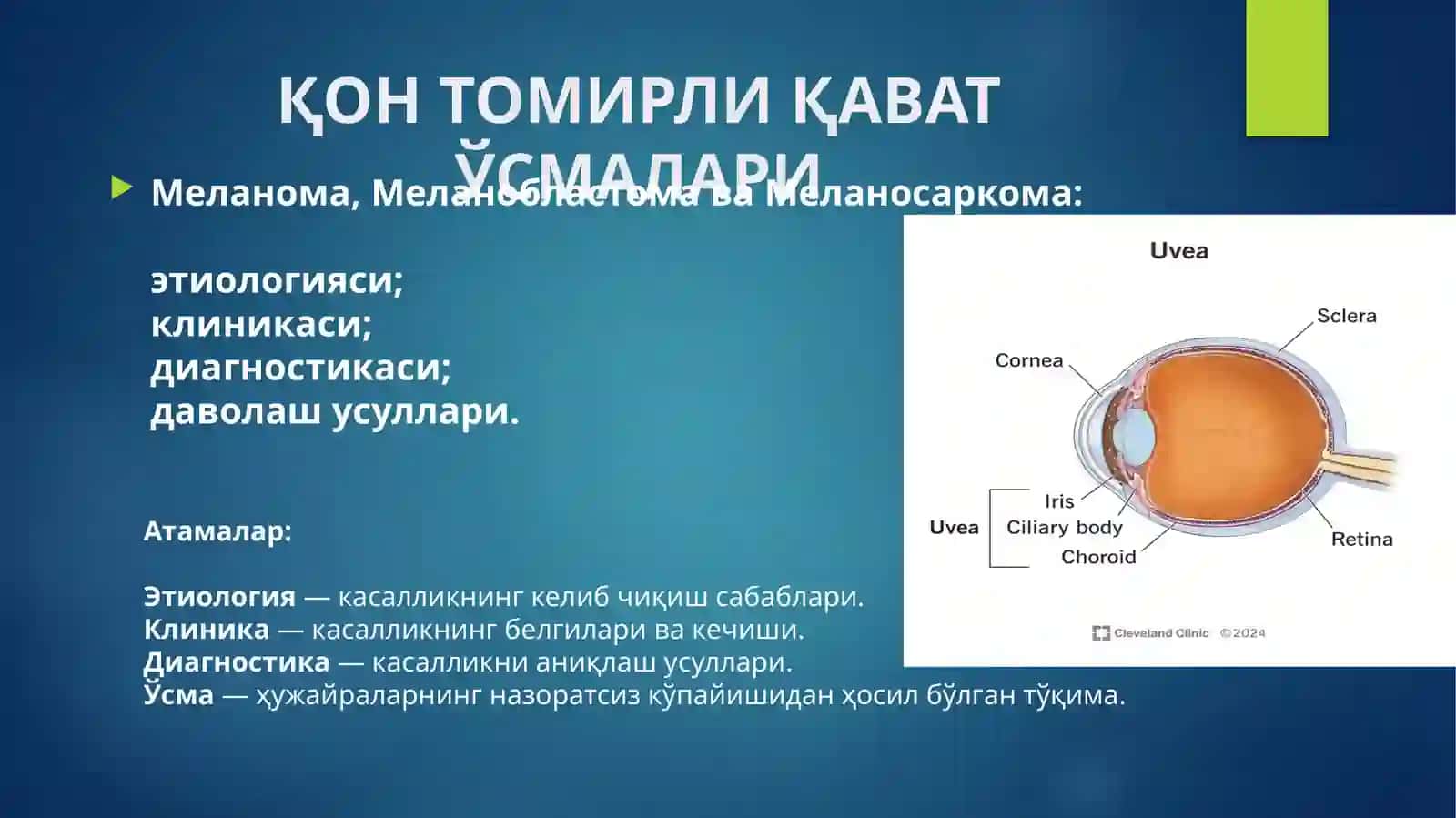 ҚОН ТОМИРЛИ ҚАВАТ ЎСМАЛАРИ 2