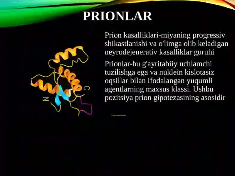 Prion kasalliklari 2