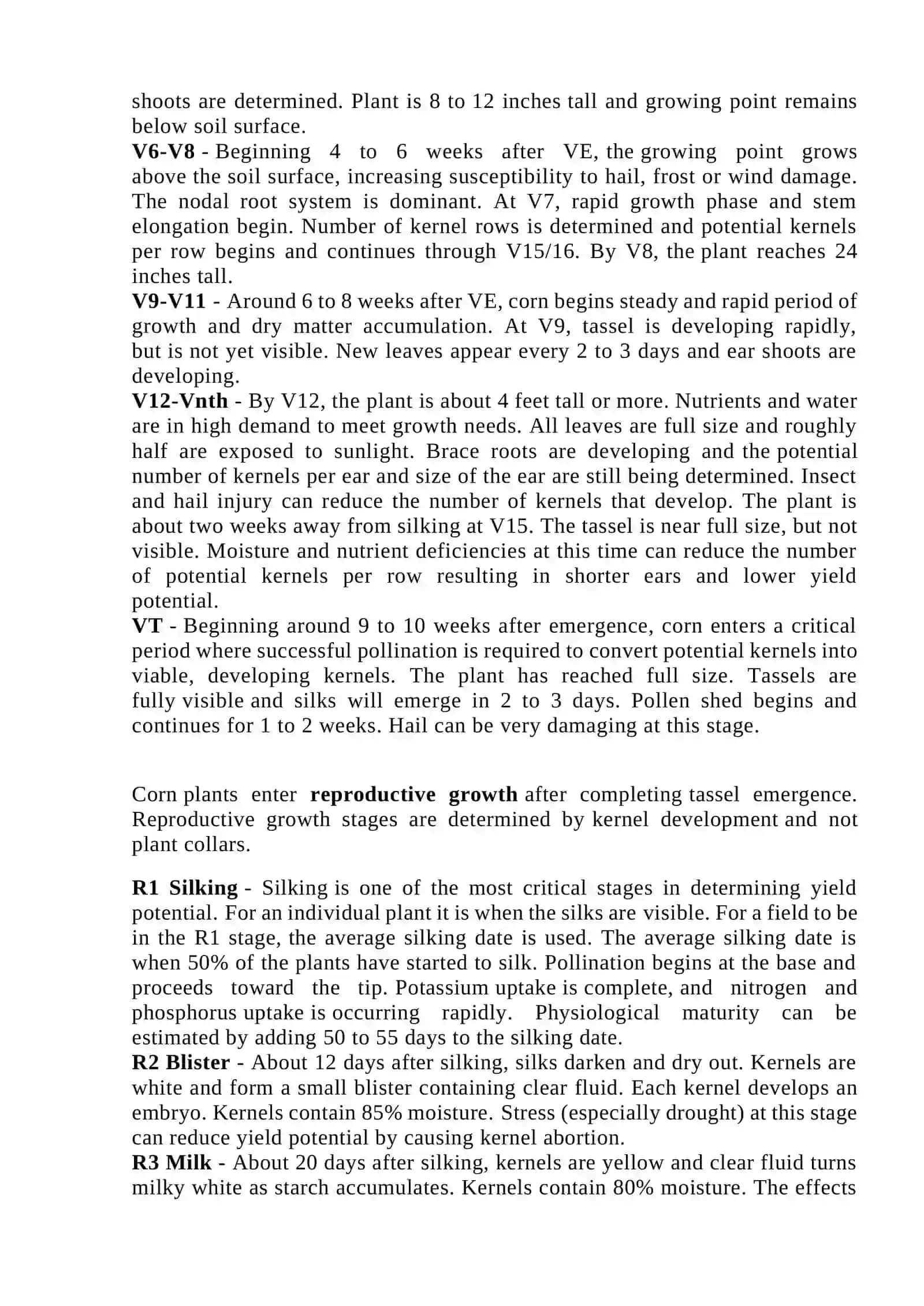 Order of phonological observation at the period of growth of corn varieties 2