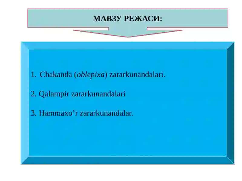 Chakanda(oblepixa) va qalampir zararkunandalari 2