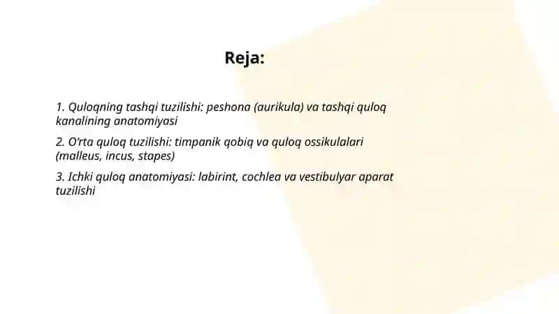 Quloqning tashqi tuzilishi: peshona (aurikula) va tashqi quloq kanalining anatomiyasi 2