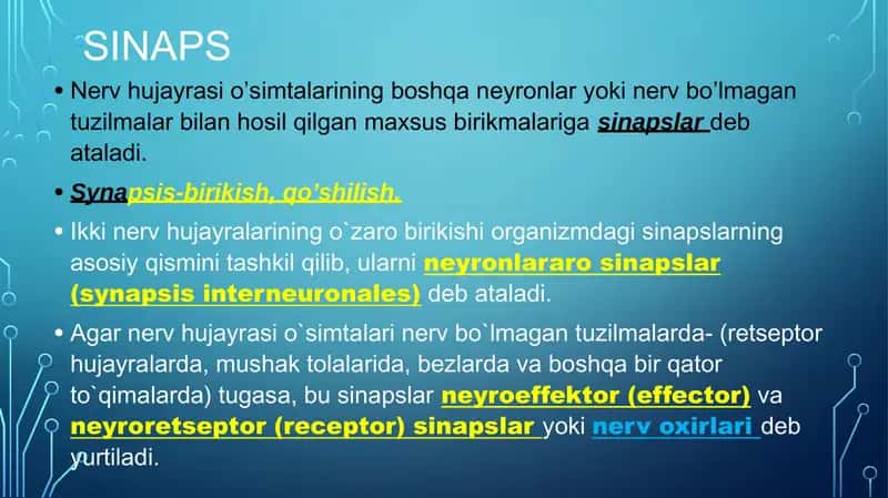 Sinapslar 2
