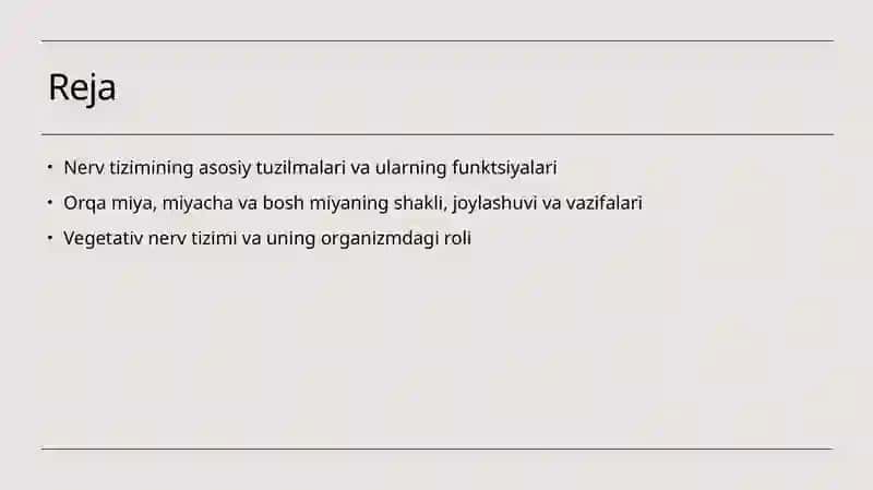 Nerv tizimi 2