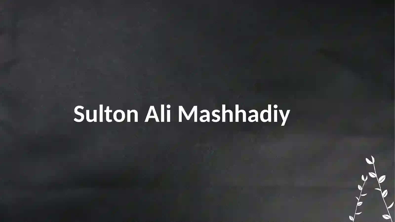 Sulton Ali Mashhadiy hayot yoʻli 2
