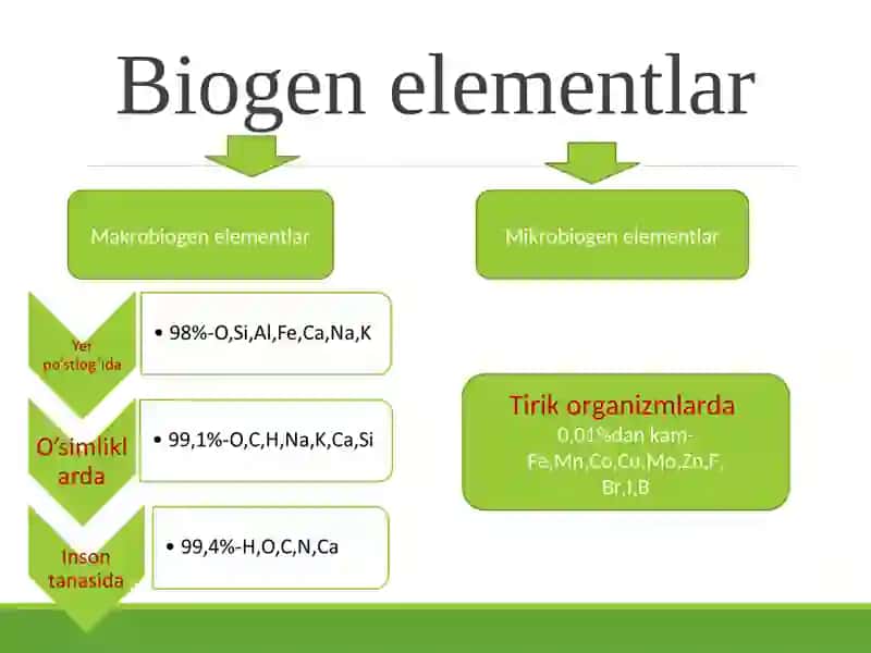 Biogen elementlar 2