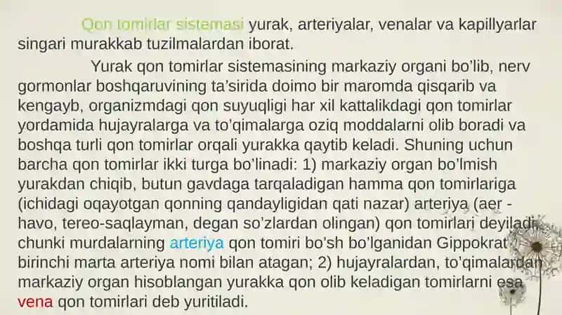 Qon tomirlar sistemasi 2