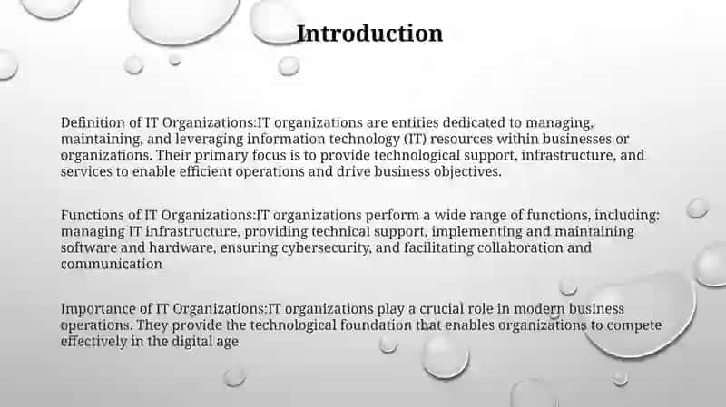 IT Organizations 2