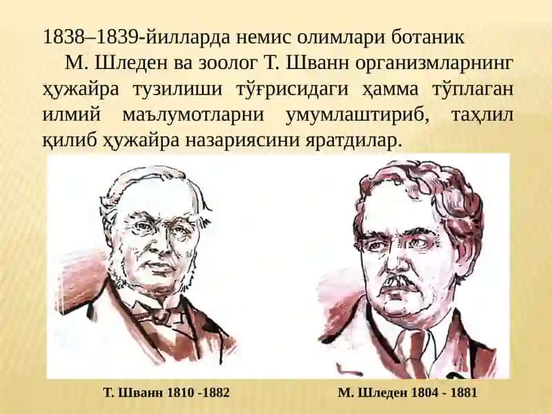 ҲУЖАЙРА НАЗАРИЯСИ, УНИНГ ШАКЛЛАРИ ВА ЭВОЛЮЦИЯСИ 2