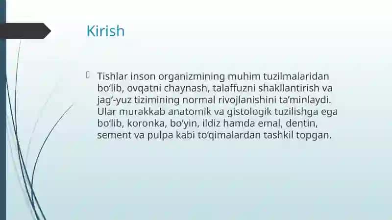 Tishlarning tuzilishi, anatomik va gistologik tuzilishi 2