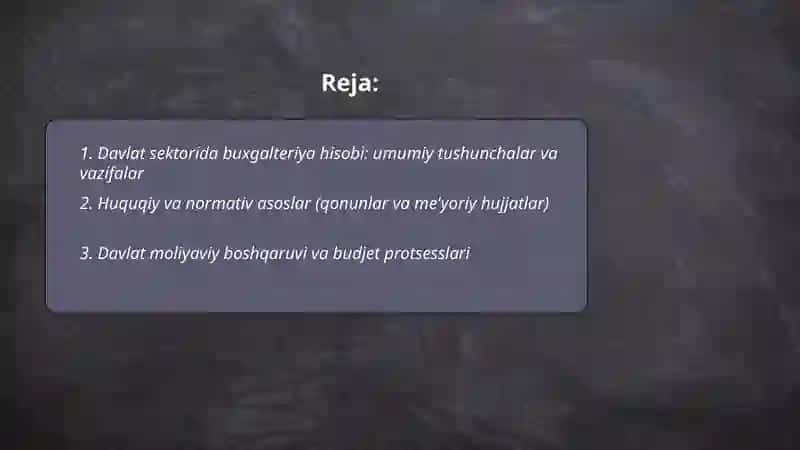 Davlat sektorida buxgalteriya hisobi 2