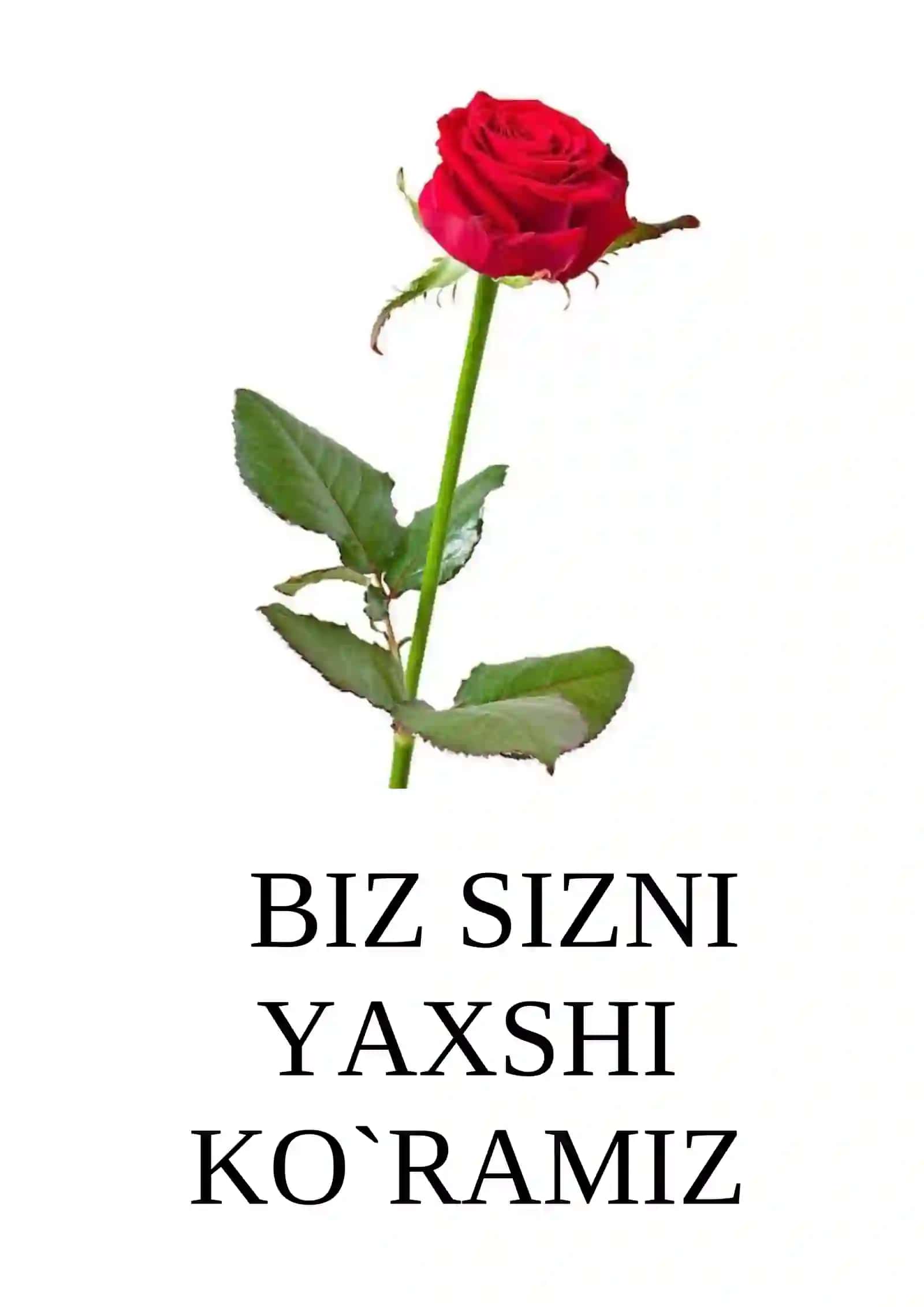 DUNYODAGI ENG PAZANDA AYOLSIZ! 2