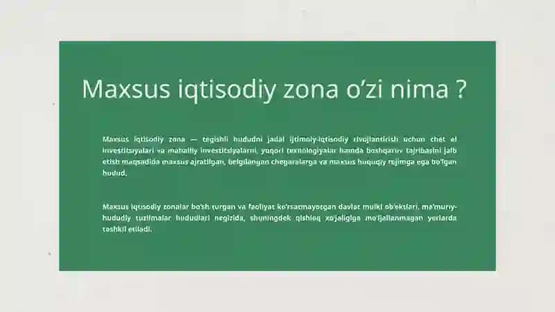 Maxsus iqtisodiy zonalar faoliyati 2