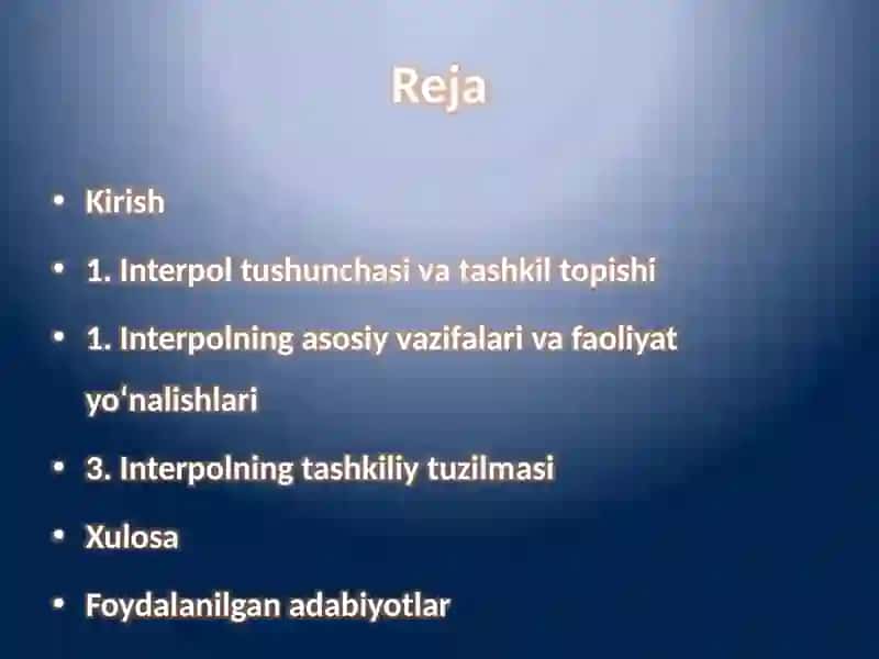 Interpol faoliyati 2