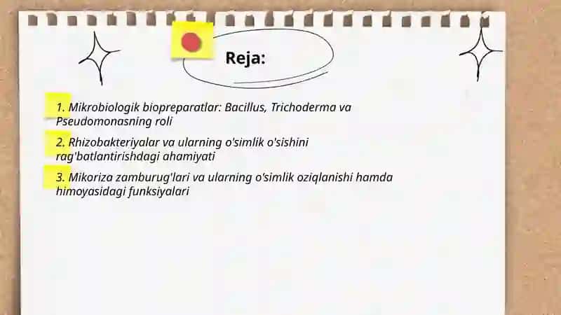 Mikroorganizmlarning qishloq xoʻjaligida, oʻsimliklarni himoya qilishda qoʻllanilishi 2
