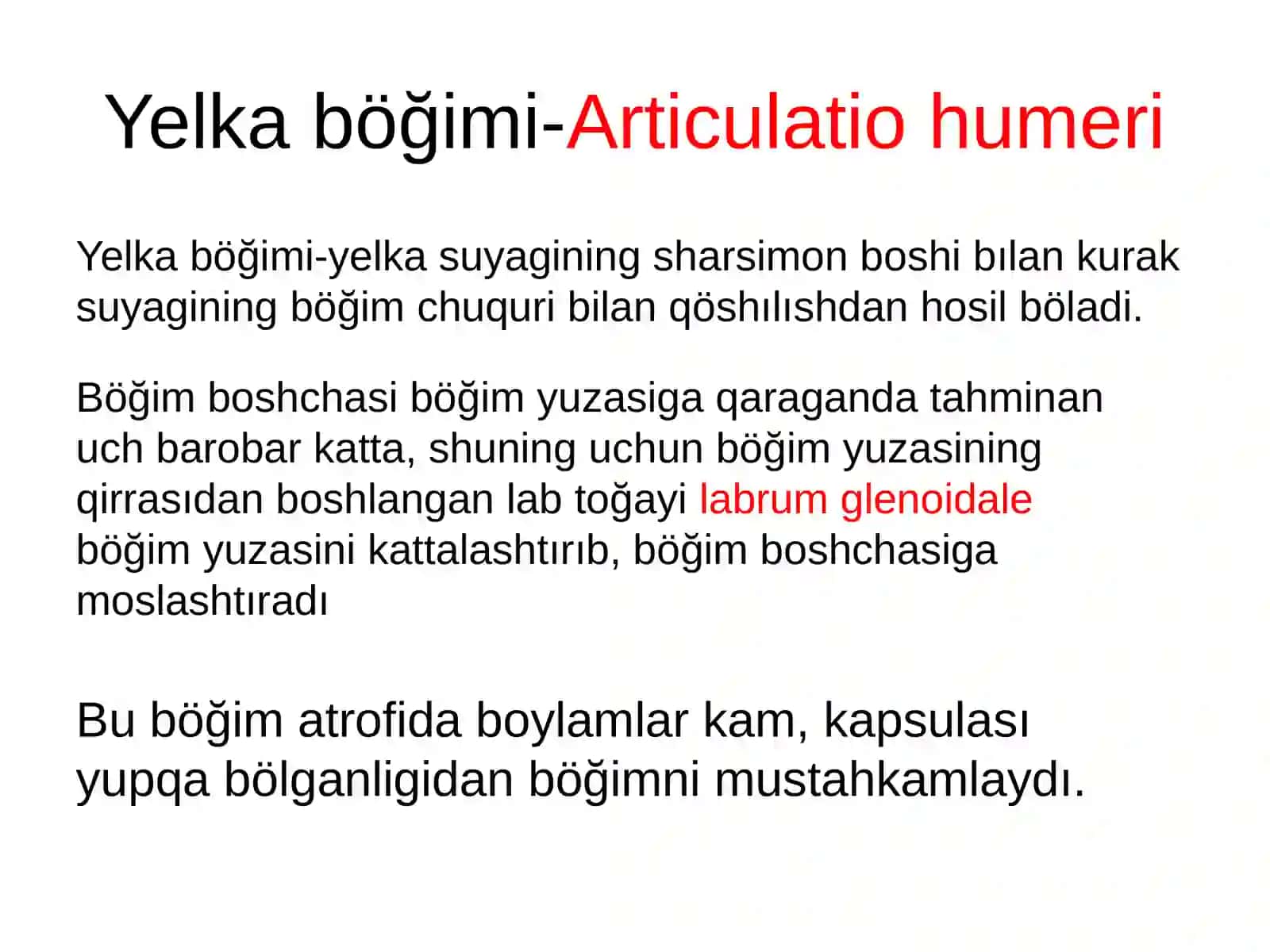 Yelka böğimi 2