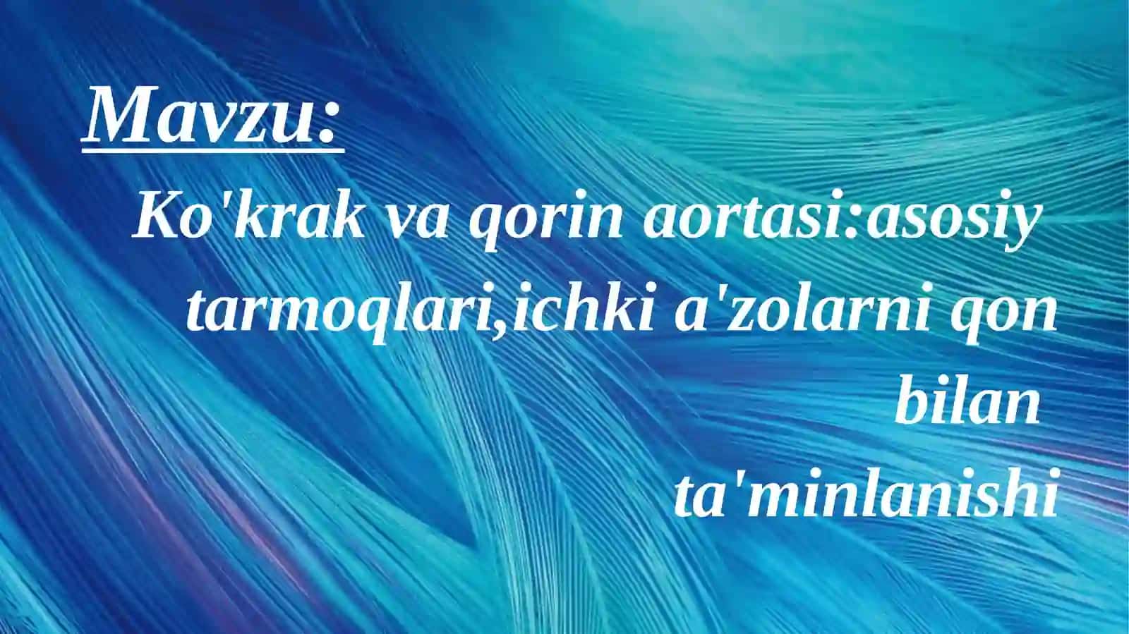 Ko'krak va qorin aortasi 2
