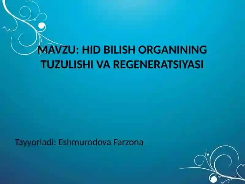 HID BILISH ORGANINING TUZULISHI VA REGENERATSIYASI 2
