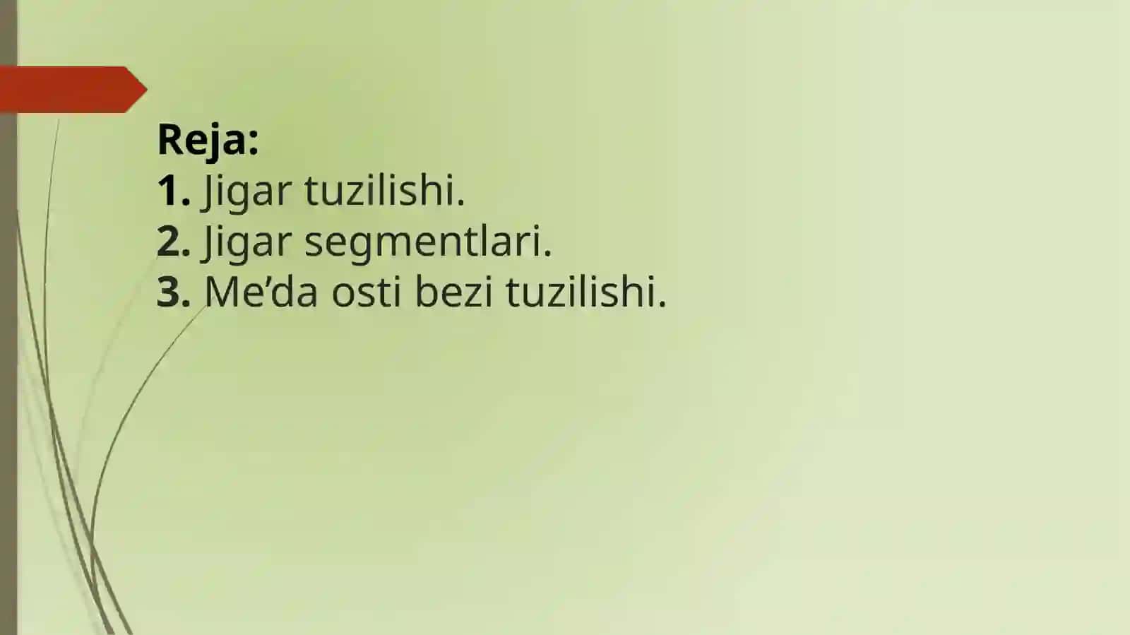 Jigar, me’da osti bezi: tuzilishi, topografiyasi 2