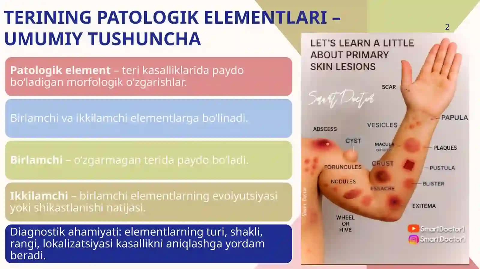 Terining patologik elementlari 2