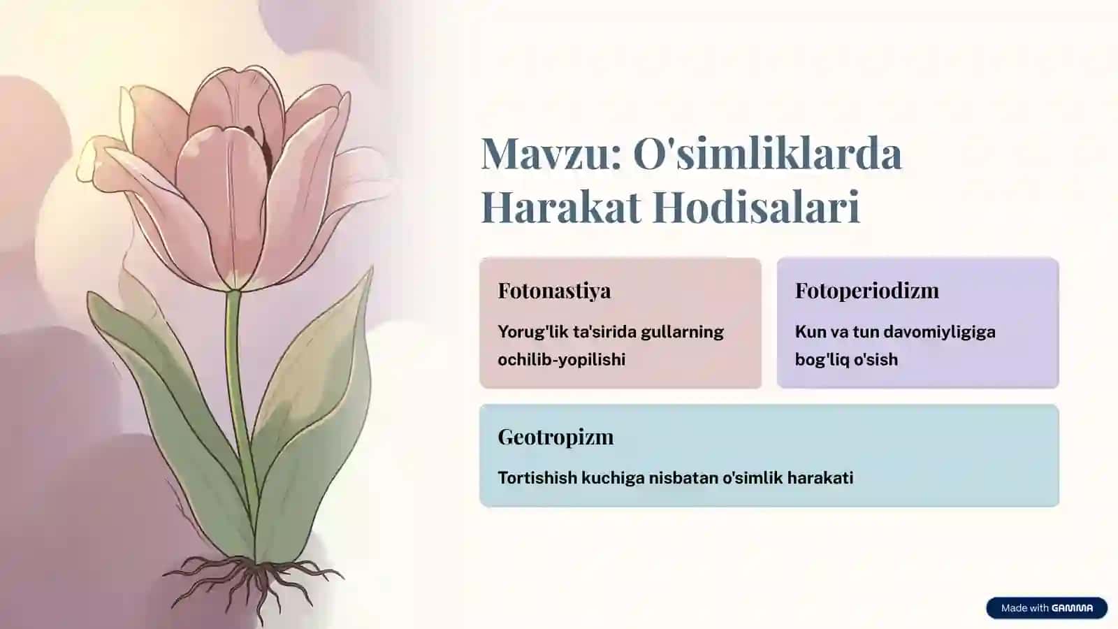 O'simliklarda Fotonastiya, Fotoperiodizm va Geotropizm 2
