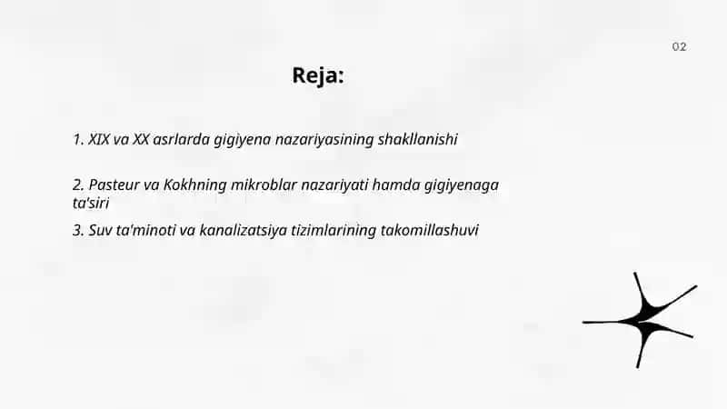 XIX va XX asrlarda gigiena taraqqiyoti 2