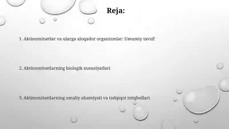 Aktinomitsetlar va ularga yaqin organizmlarni oʻrganish 2
