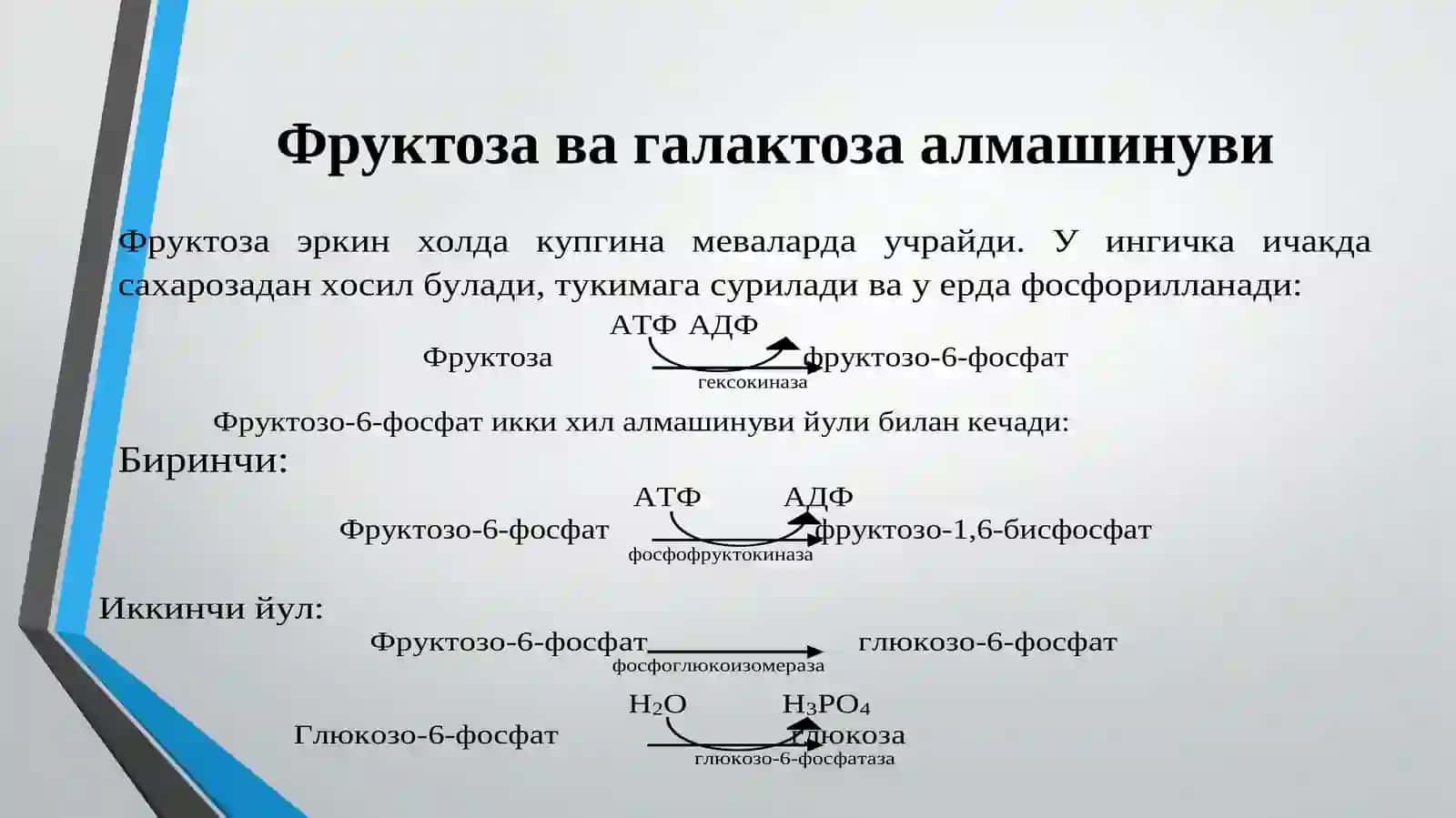 УГЛЕВОДЛАР АЛМАШИНУВИ 2