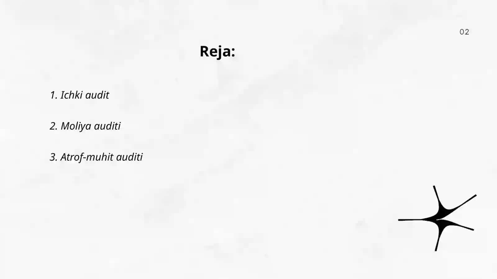 Ichki audit 2