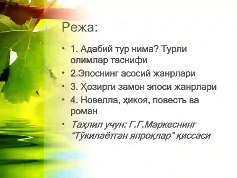 Адабий тур тушунчаси 2